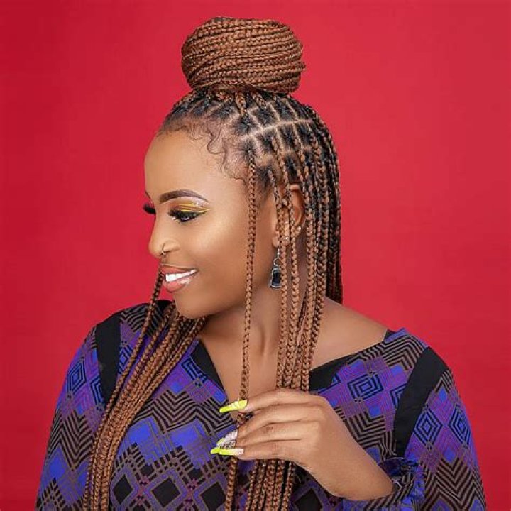 Unveiling The Allure Of Braids For Women Of Grace And Wisdom